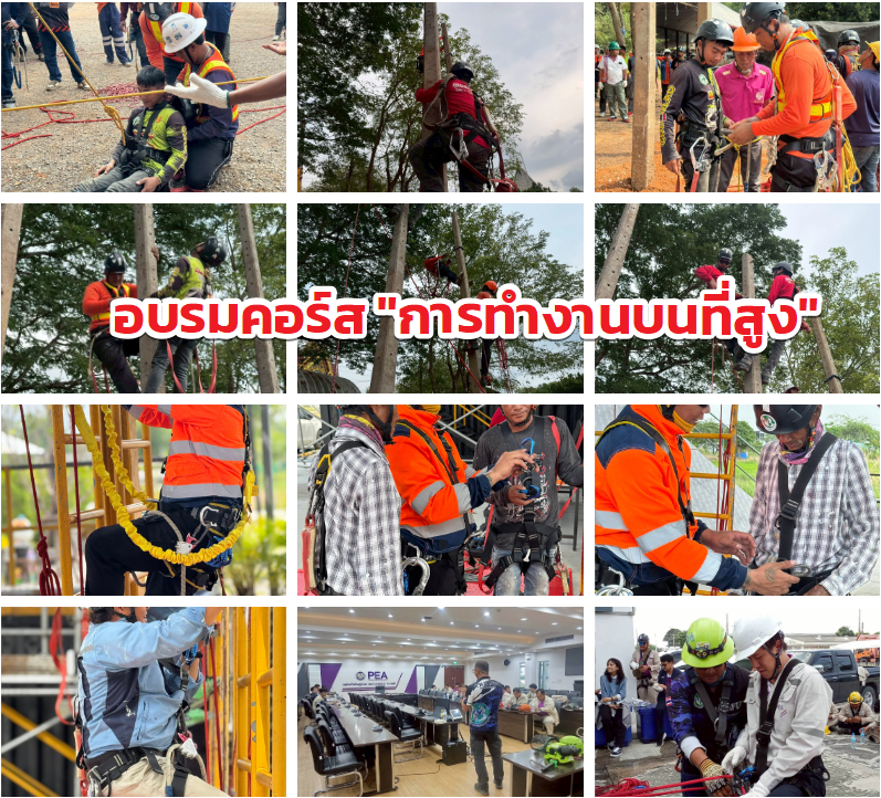 อบรมคอร์ส "การทำงานบนที่สูง"